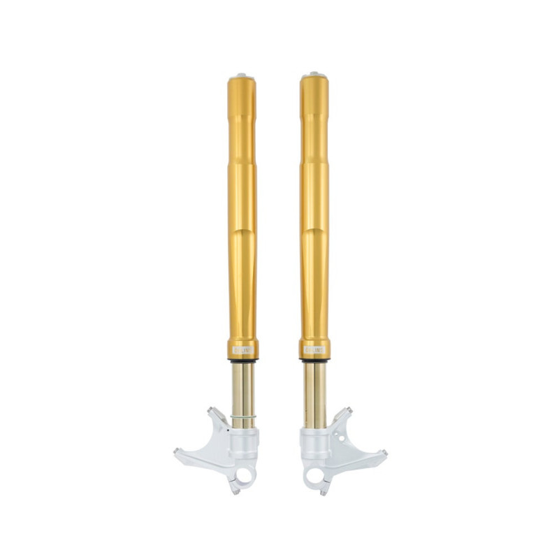 Öhlins Horquilla NIX30 BMW R 12 G/S 2025- (incl. pletinas)